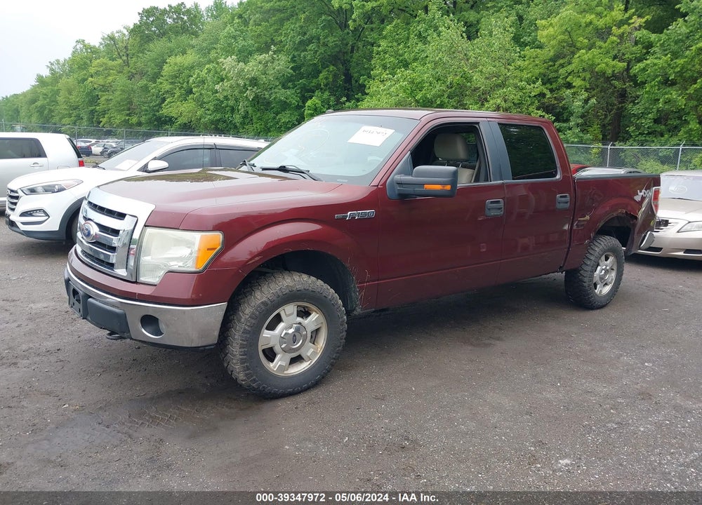 2009 FORD F-150 FX4/KING RANCH/LARIAT/PLATINUM/XL/XLT VIN: 1FTPW14V89FB01211