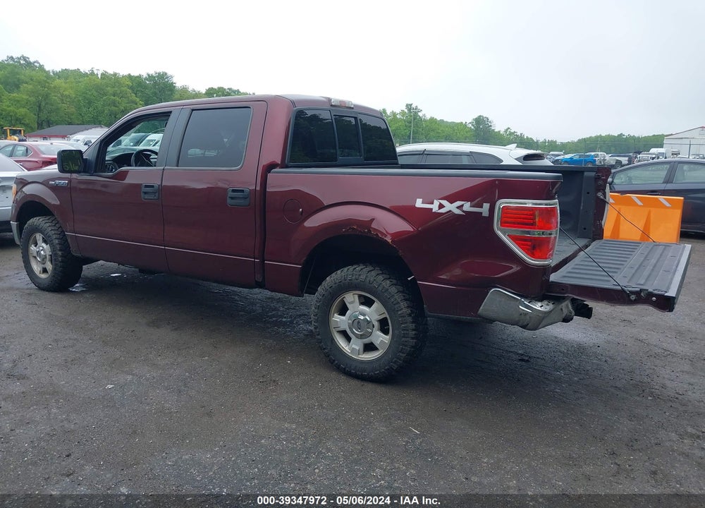 2009 FORD F-150 FX4/KING RANCH/LARIAT/PLATINUM/XL/XLT VIN: 1FTPW14V89FB01211