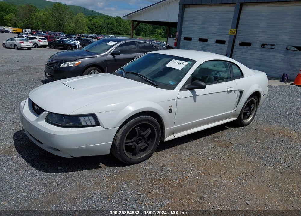 2004 FORD MUSTANG VIN: 1FAFP40614F156252