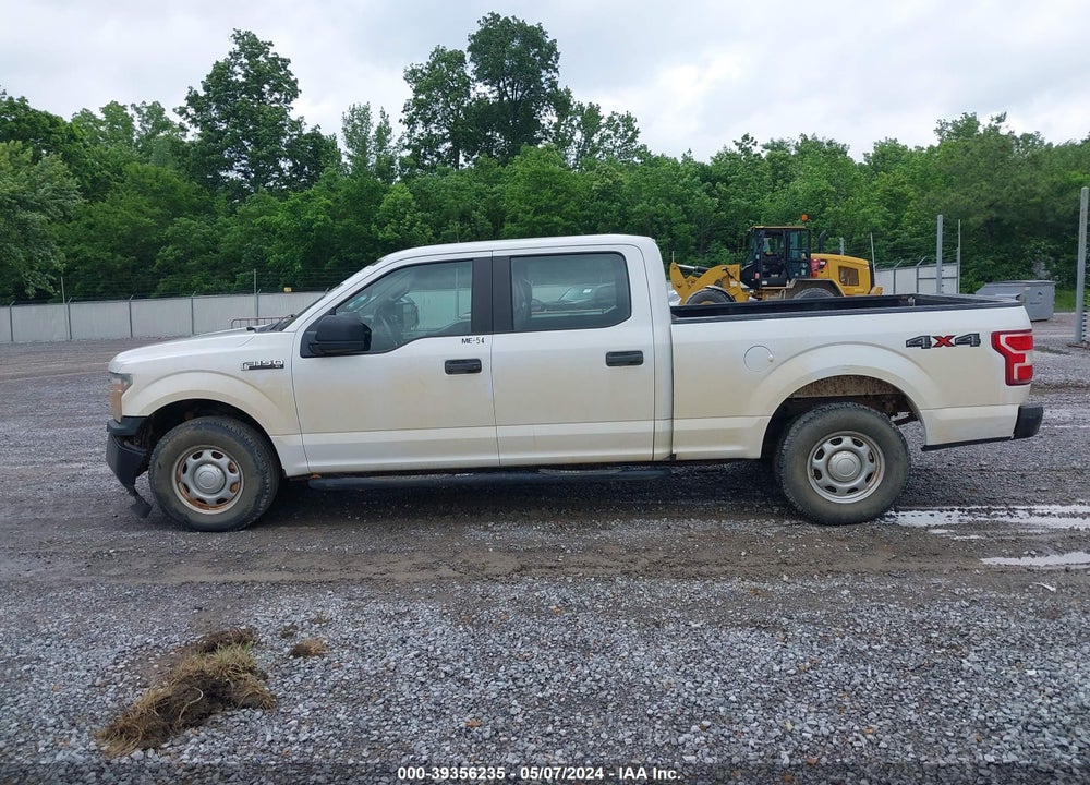 2019 FORD F-150 XL VIN: 1FTFW1E55KKD31036