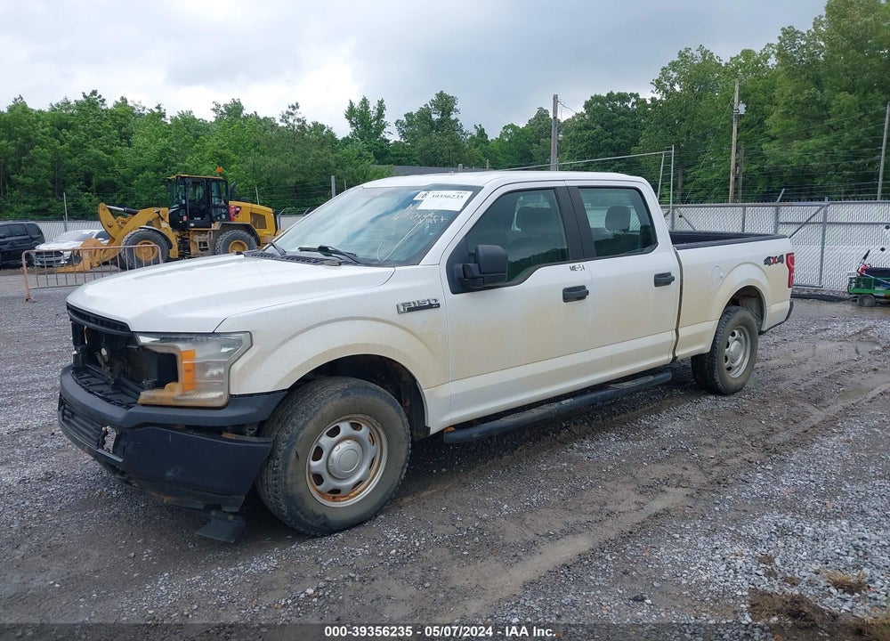 2019 FORD F-150 XL VIN: 1FTFW1E55KKD31036