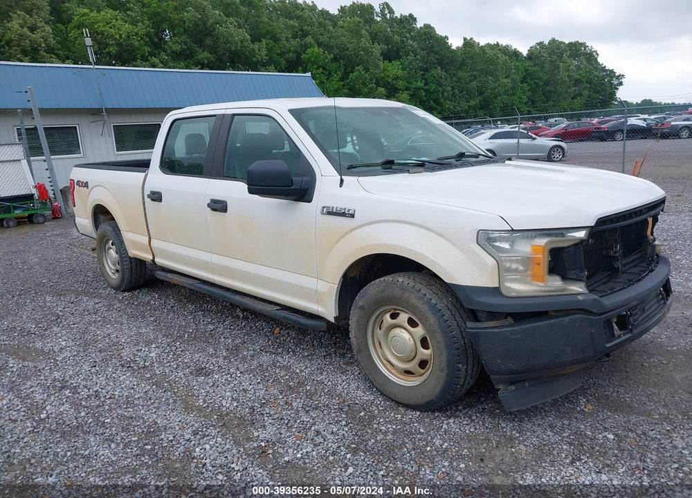 2019 FORD F-150 XL VIN: 1FTFW1E55KKD31036