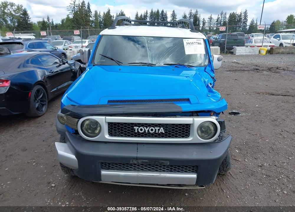 2007 TOYOTA FJ CRUISER VIN: JTEBU11F970073900