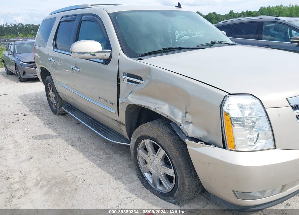 2009 CADILLAC ESCALADE STANDARD VIN: 1GYFK23249R221648