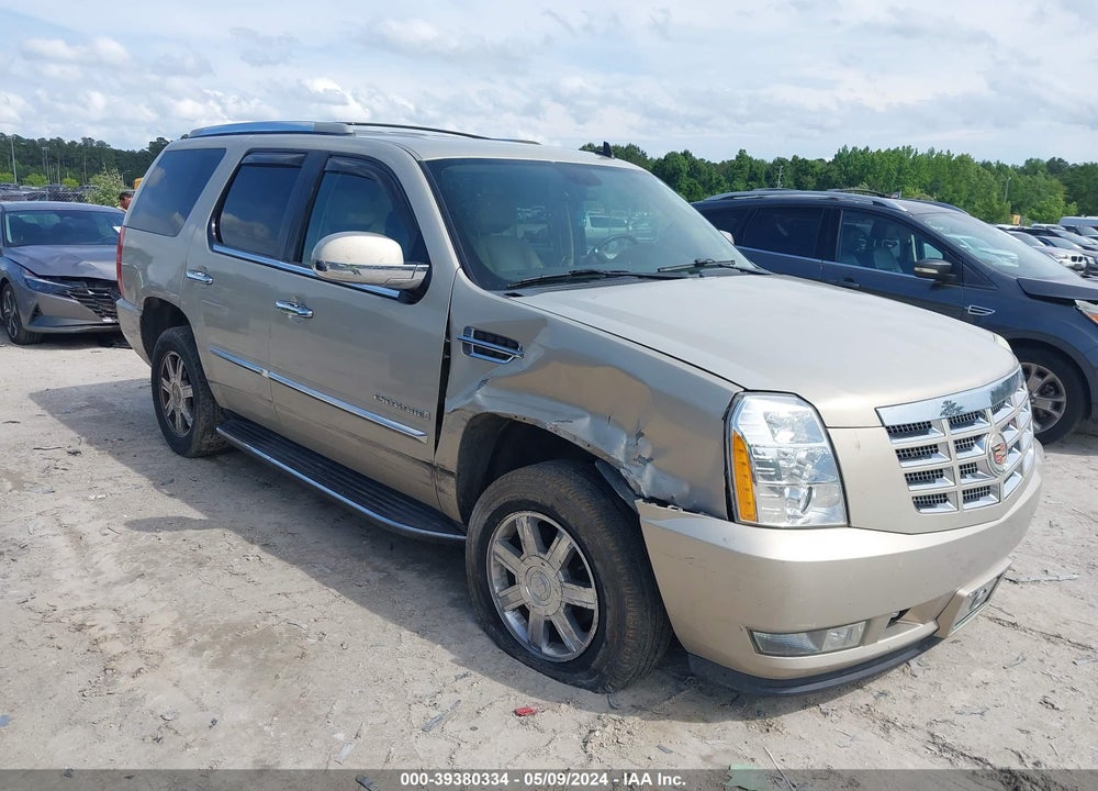 2009 CADILLAC ESCALADE STANDARD VIN: 1GYFK23249R221648