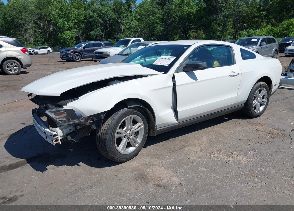 2010 FORD MUSTANG V6/V6 PREMIUM VIN: 1ZVBP8AN2A5158869