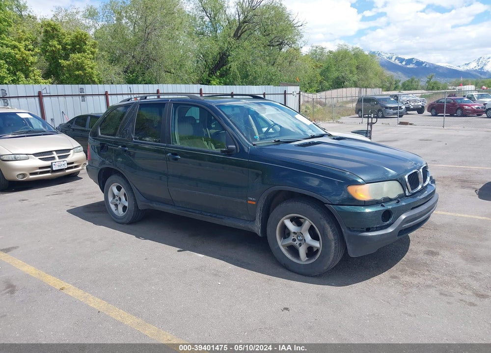 2002 BMW X5 3.0I VIN: 5UXFA53512LP37221