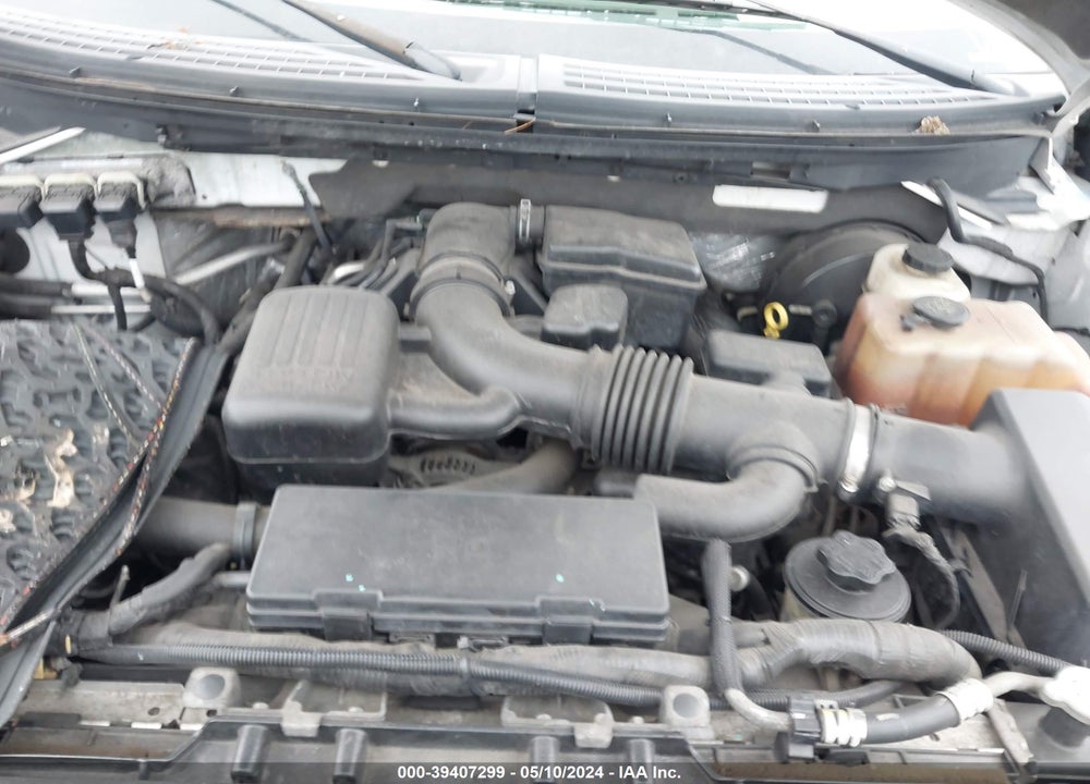 2009 FORD F-150 XL/XLT VIN: 1FTVX12V49KB98695