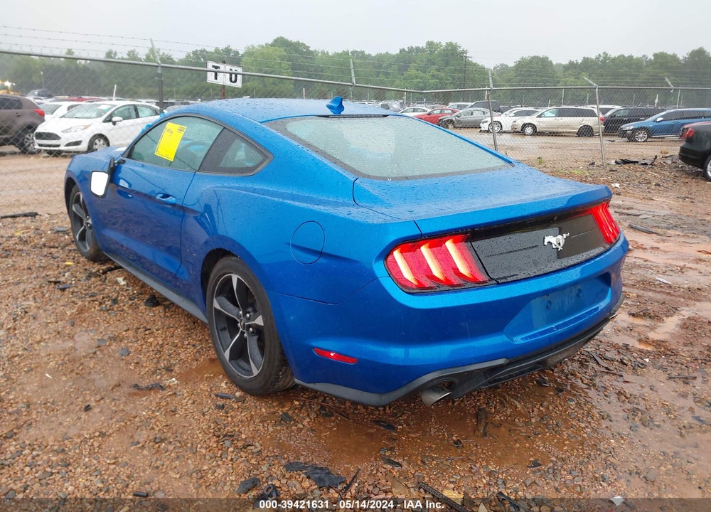 2021 FORD MUSTANG ECOBOOST FASTBACK VIN: 1FA6P8TH5M5148228