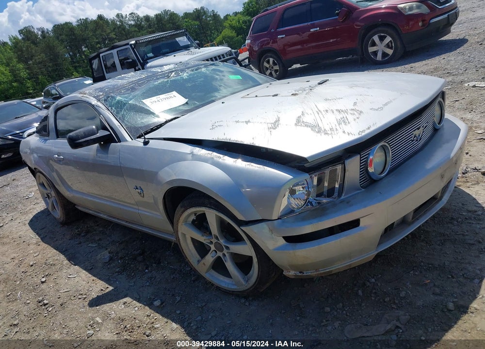 2009 FORD MUSTANG GT/GT PREMIUM VIN: 1ZVHT82H195116137