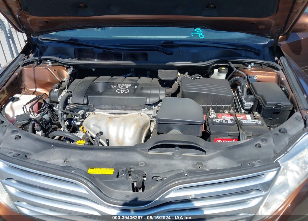 2009 TOYOTA VENZA VIN: 4T3ZE11A09U008081