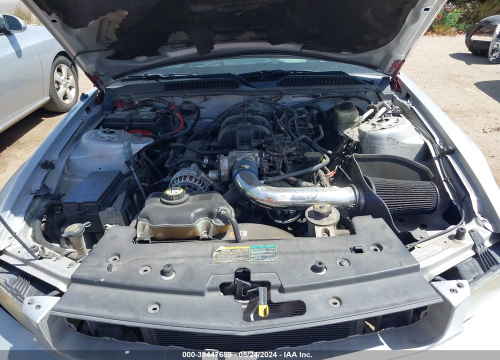 2006 FORD MUSTANG V6 VIN: 1ZVFT80NX65122451