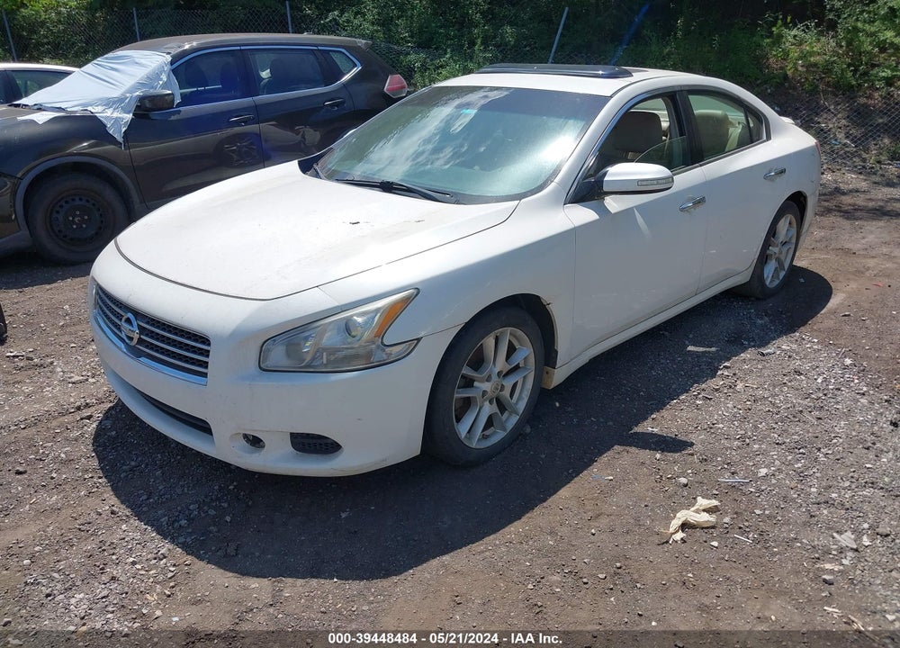 2011 NISSAN MAXIMA 3.5 SV VIN: 1N4AA5AP1BC844324
