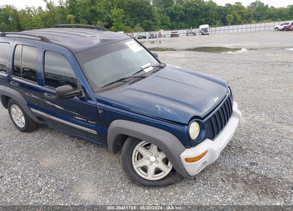 2002 JEEP LIBERTY SPORT VIN: 1J4GK48K42W123476