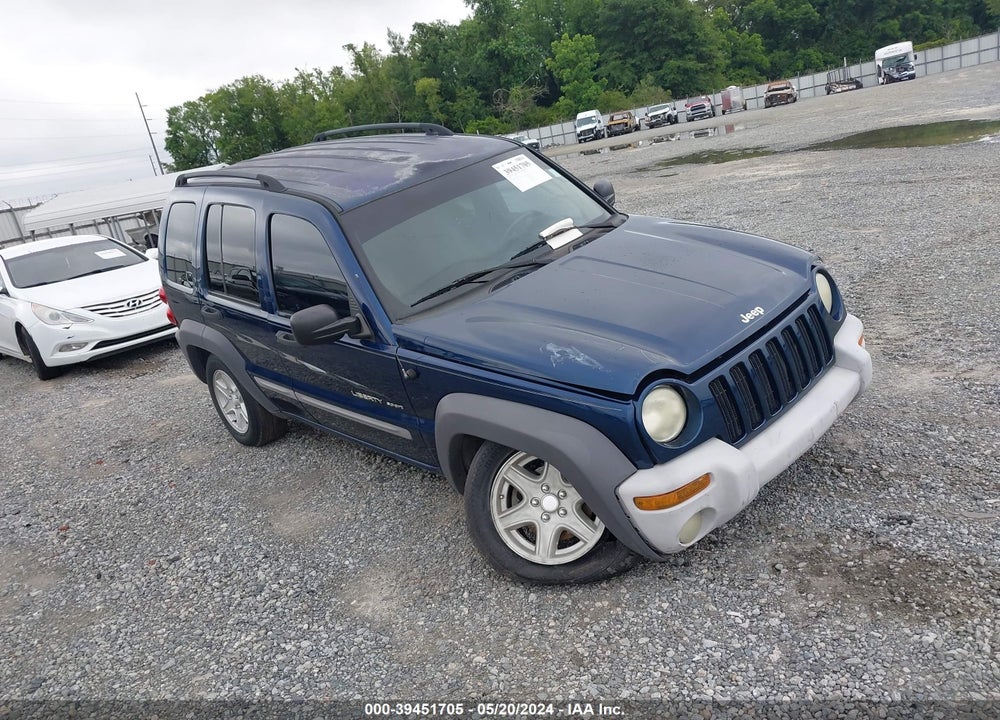 2002 JEEP LIBERTY SPORT VIN: 1J4GK48K42W123476