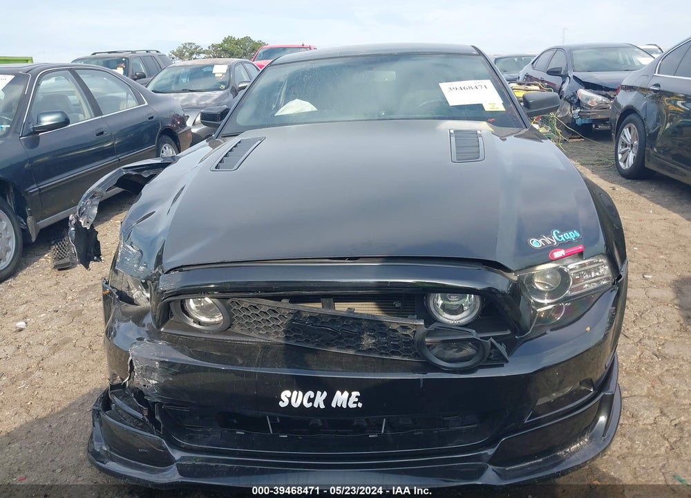 2014 FORD MUSTANG GT VIN: 1ZVBP8CF0E5253667