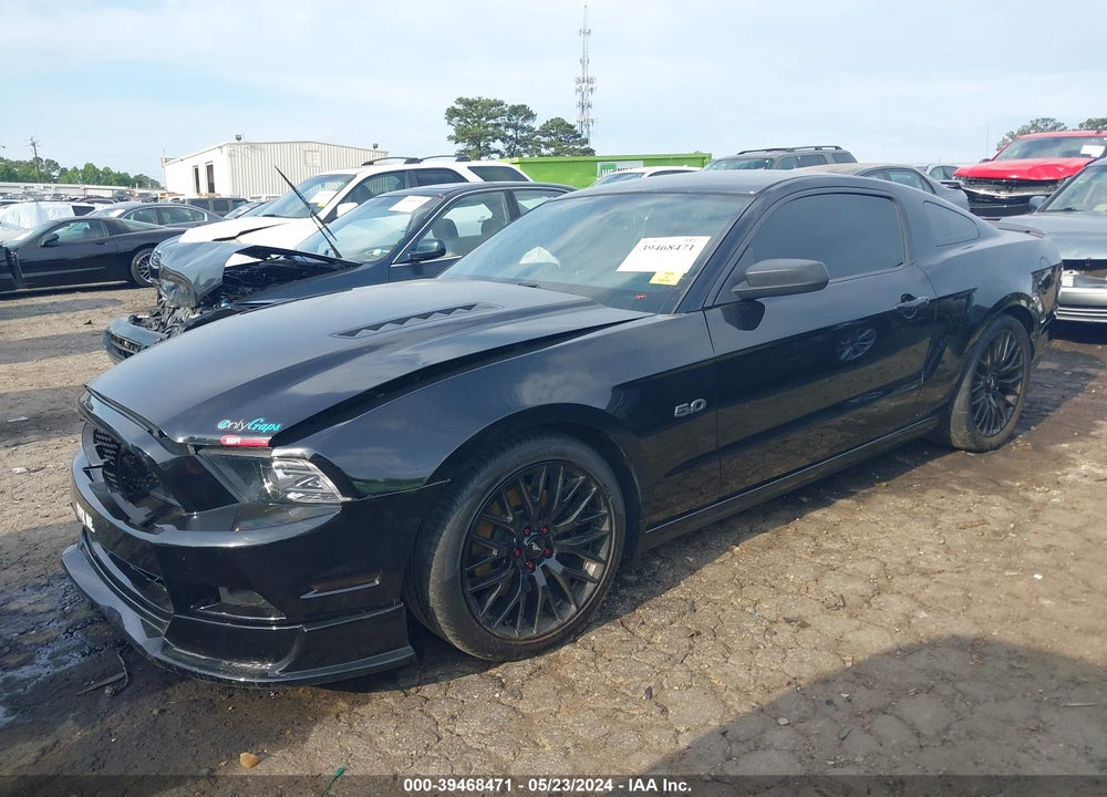 2014 FORD MUSTANG GT VIN: 1ZVBP8CF0E5253667