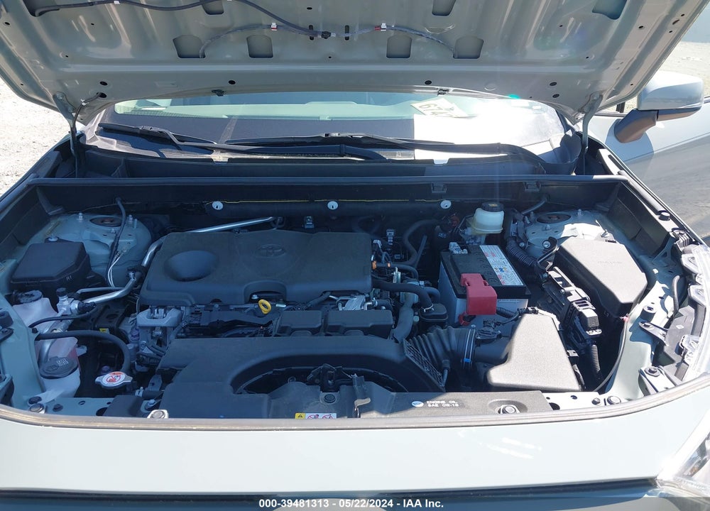 2019 TOYOTA RAV4 XLE VIN: JTMP1RFV4KD516411