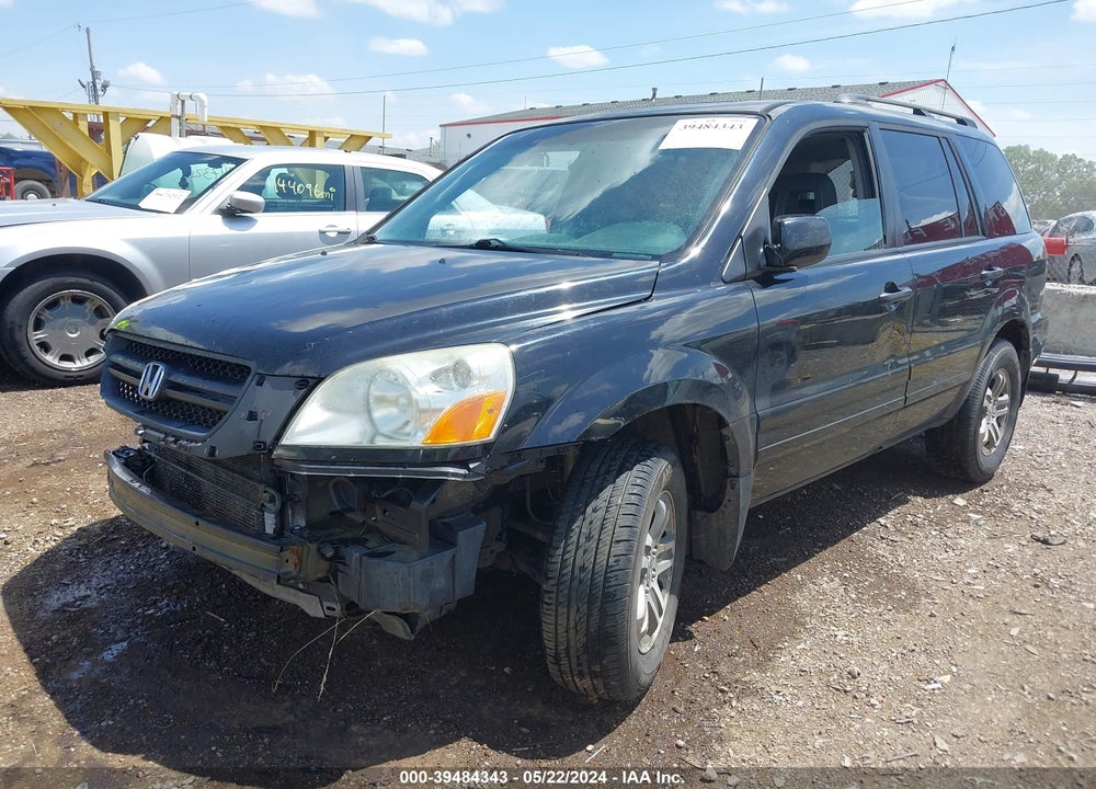 2005 HONDA PILOT EX-L VIN: 5FNYF18555B037786