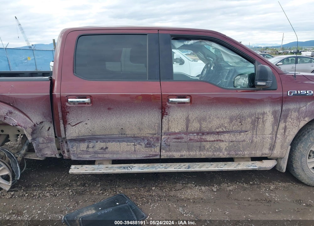2015 FORD F-150 XLT VIN: 1FTEW1EF7FFA03507