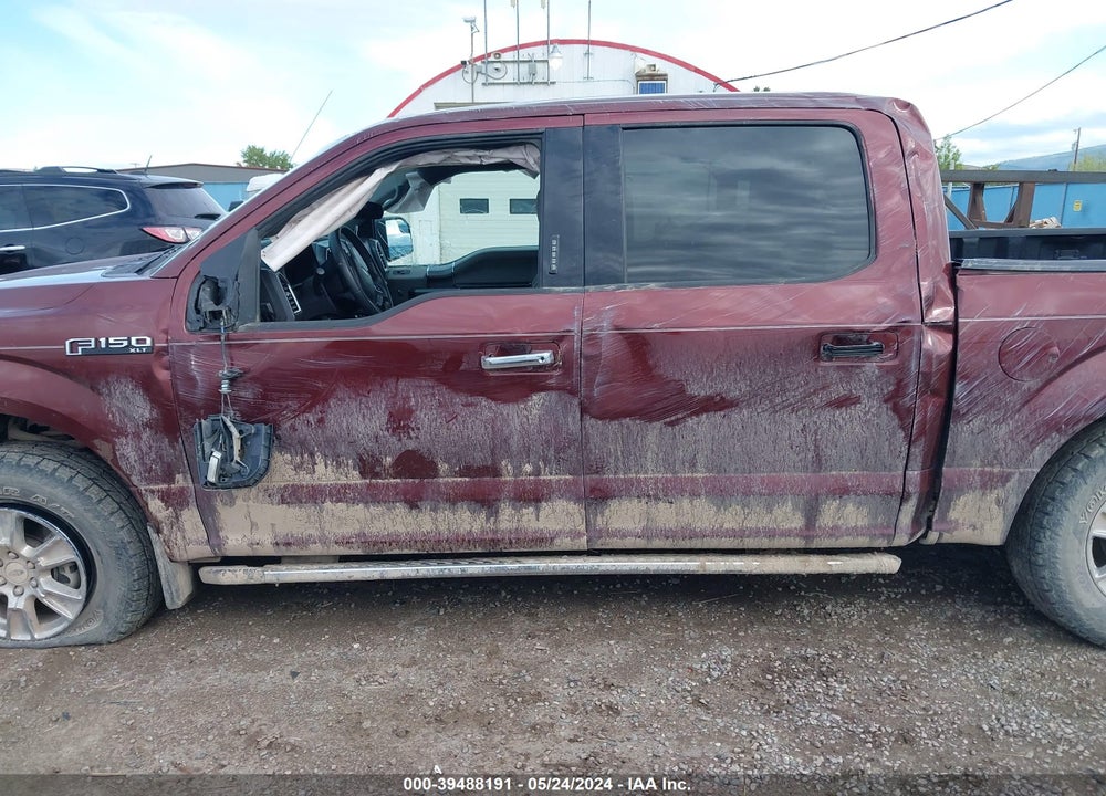 2015 FORD F-150 XLT VIN: 1FTEW1EF7FFA03507