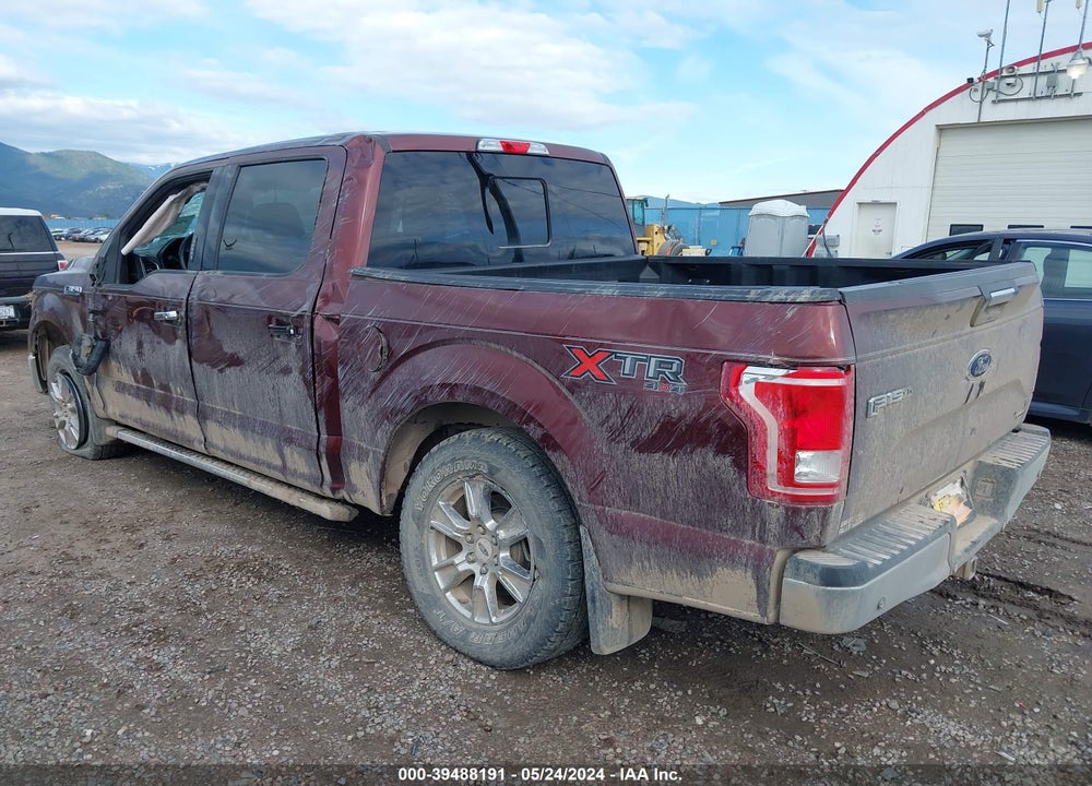 2015 FORD F-150 XLT VIN: 1FTEW1EF7FFA03507
