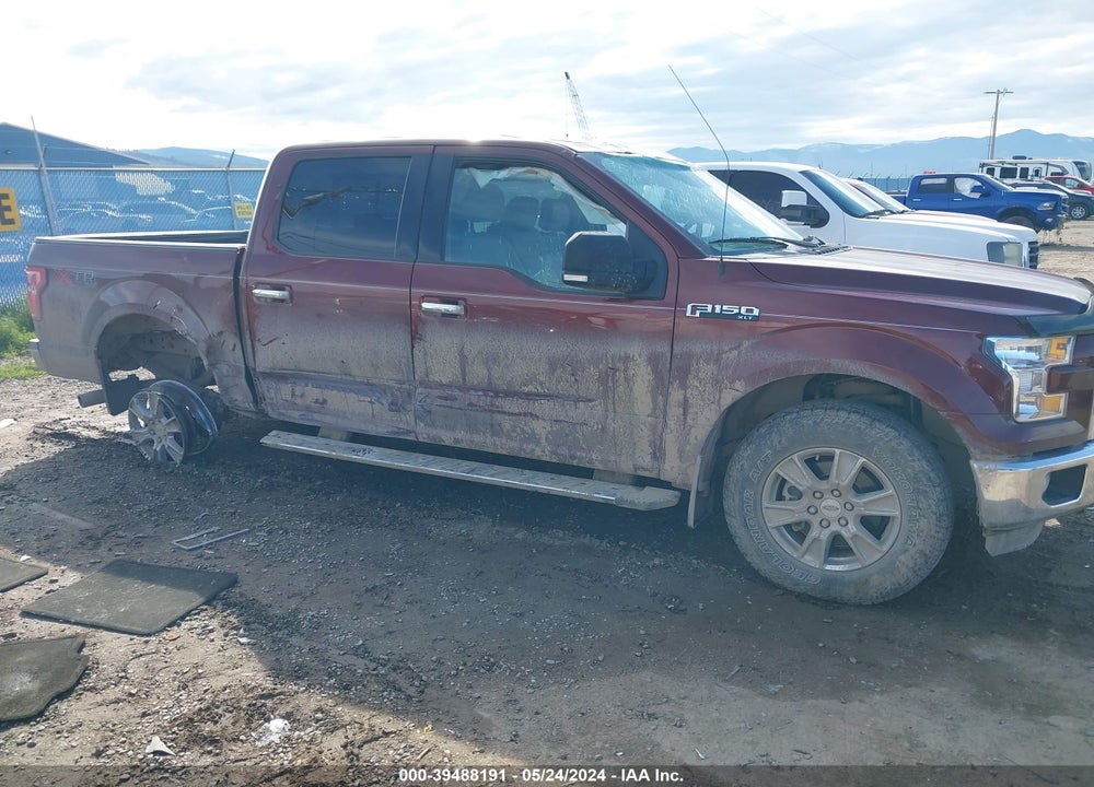 2015 FORD F-150 XLT VIN: 1FTEW1EF7FFA03507