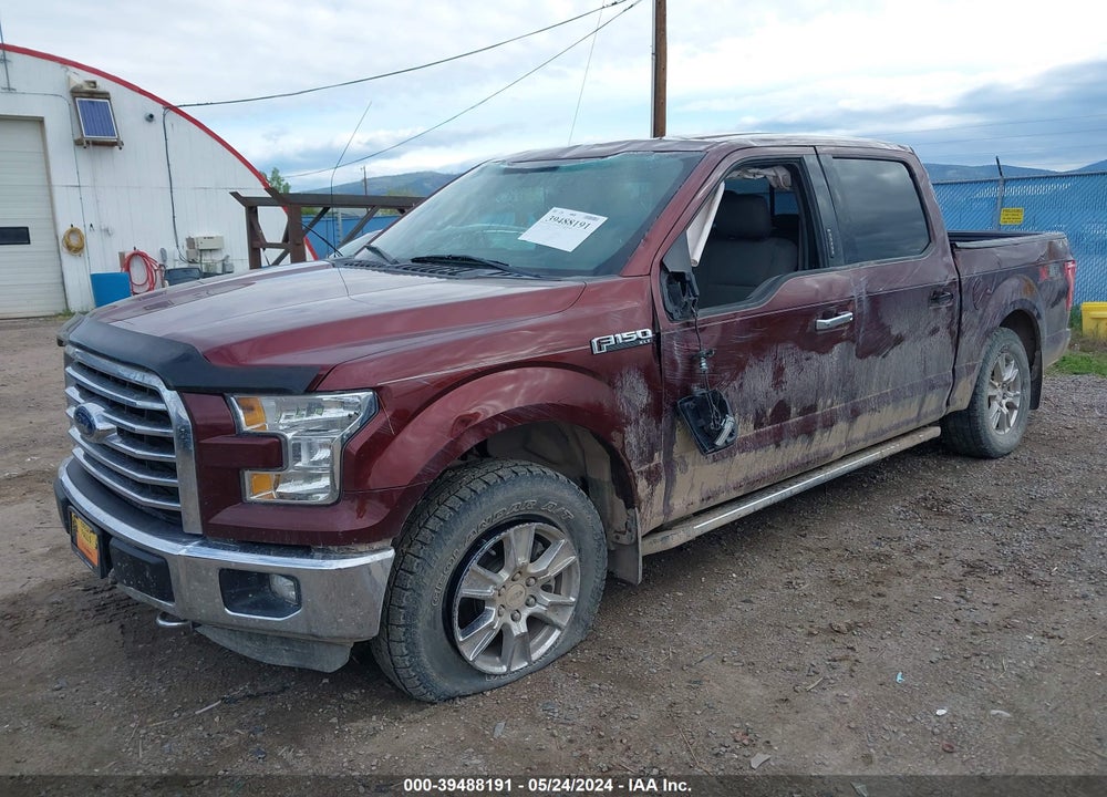 2015 FORD F-150 XLT VIN: 1FTEW1EF7FFA03507