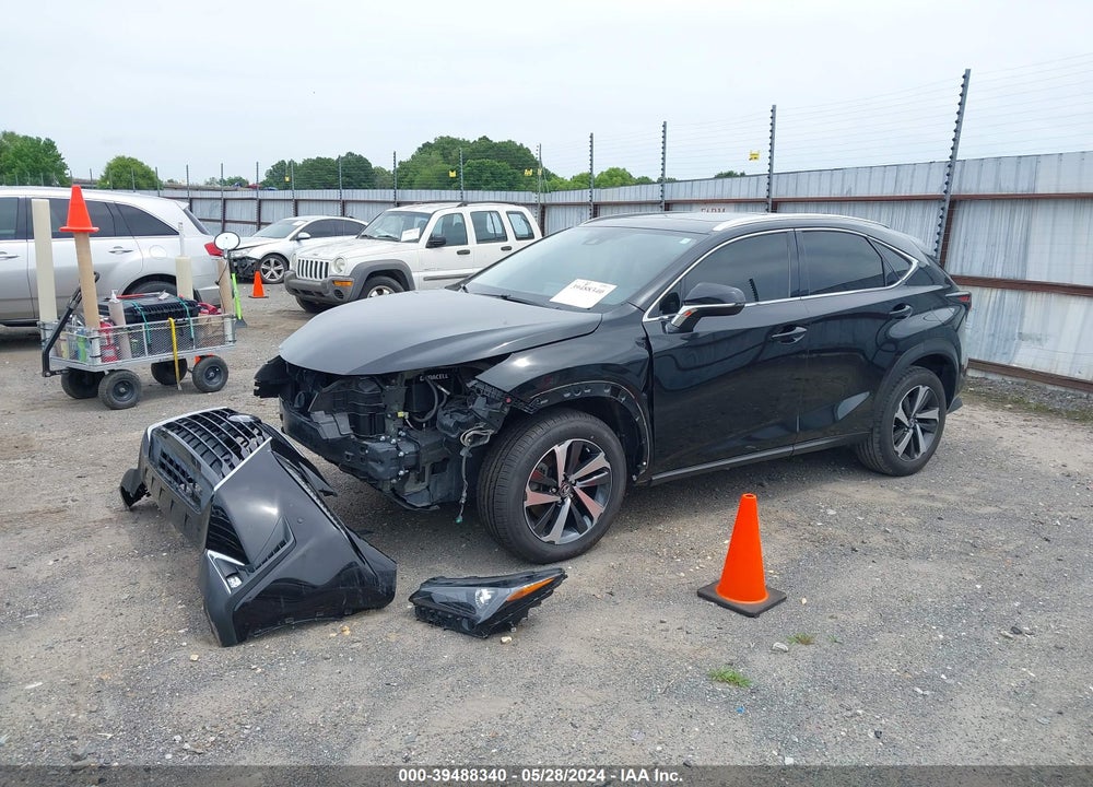 2020 LEXUS NX 300 VIN: JTJGARDZXL5012895
