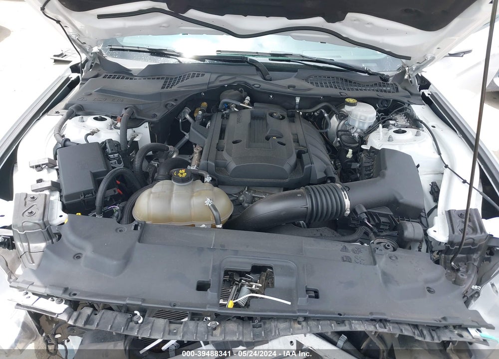2019 FORD MUSTANG ECOBOOST VIN: 1FA6P8TH0K5176497
