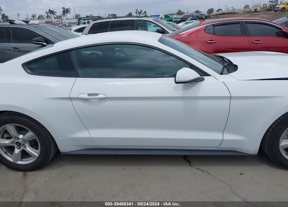 2019 FORD MUSTANG ECOBOOST VIN: 1FA6P8TH0K5176497