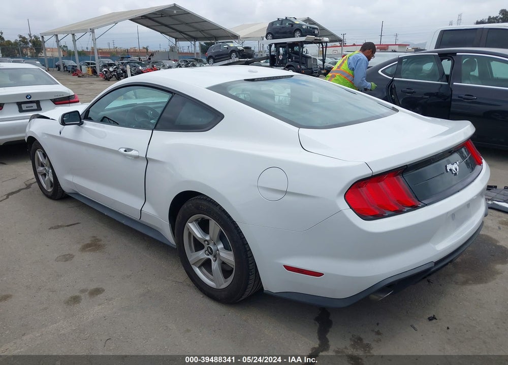2019 FORD MUSTANG ECOBOOST VIN: 1FA6P8TH0K5176497