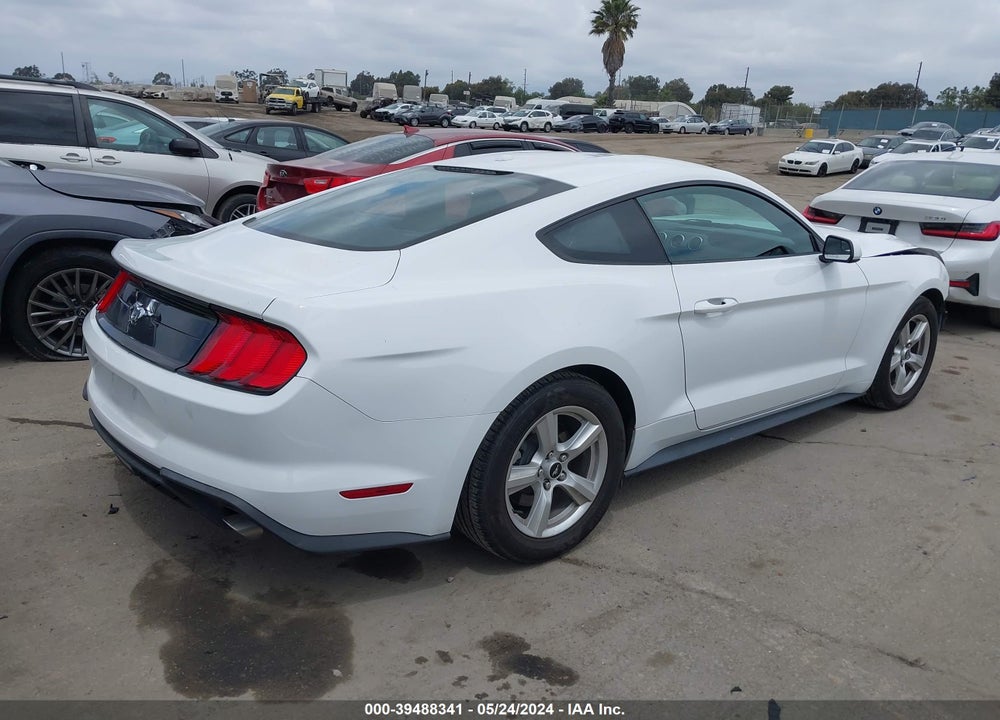 2019 FORD MUSTANG ECOBOOST VIN: 1FA6P8TH0K5176497
