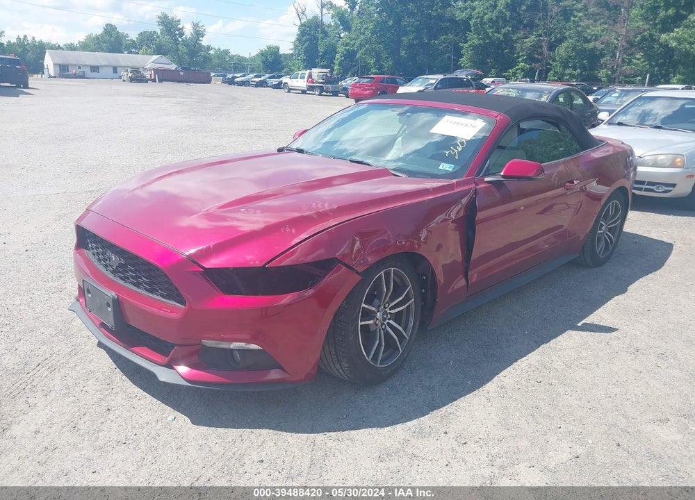 2017 FORD MUSTANG VIN: 1FATP8UH4H5331448