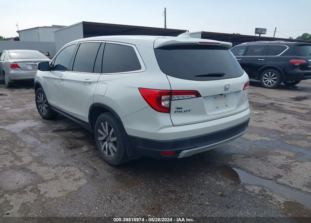 2019 HONDA PILOT EX-L VIN: 5FNYF6H55KB081845