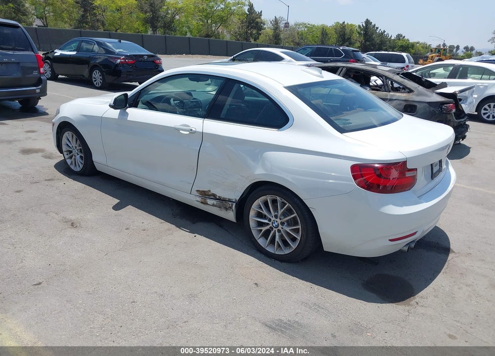 2014 BMW 228I VIN: WBA1F5C57EV255808