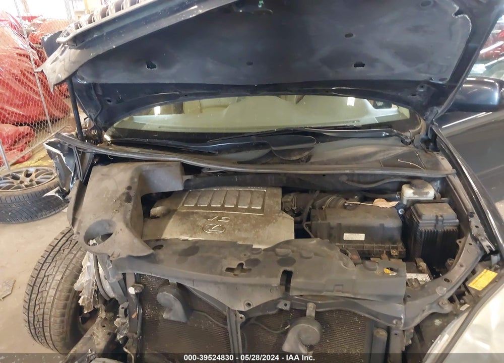 2007 LEXUS RX 350 VIN: 2T2HK31U37C017984