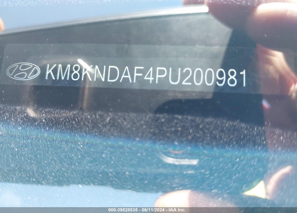 2023 HYUNDAI IONIQ 5 SEL VIN: KM8KNDAF4PU200981