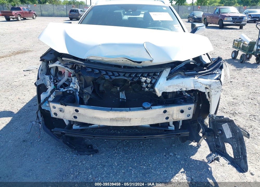 2019 LEXUS UX 250H VIN: JTHU9JBH7K2006609