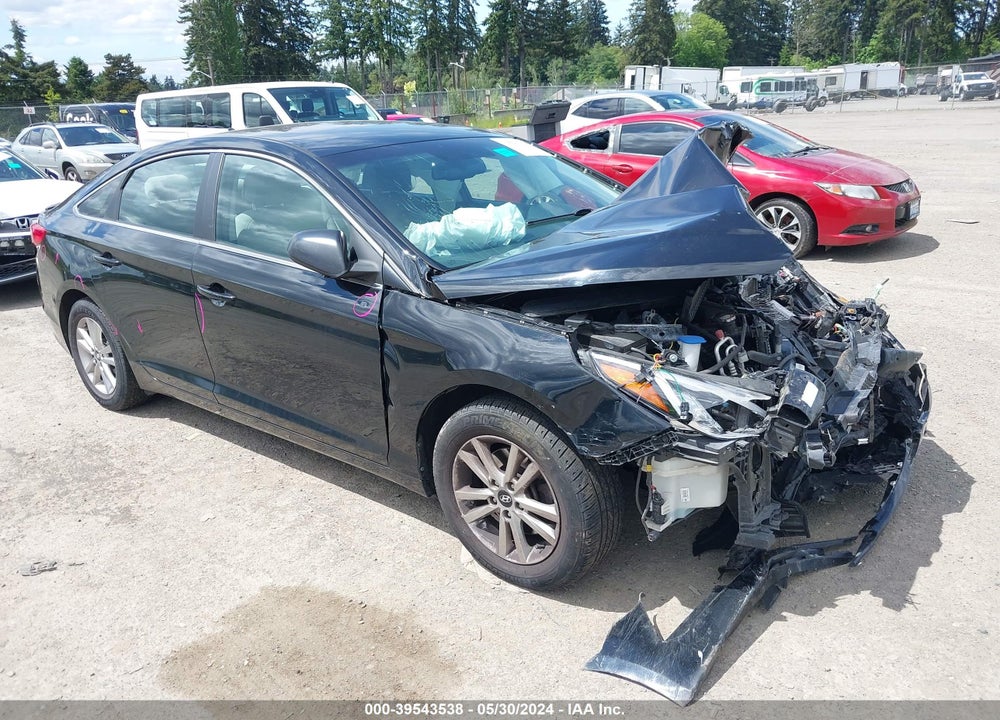 2016 HYUNDAI SONATA SE VIN: 5NPE24AF6GH384518