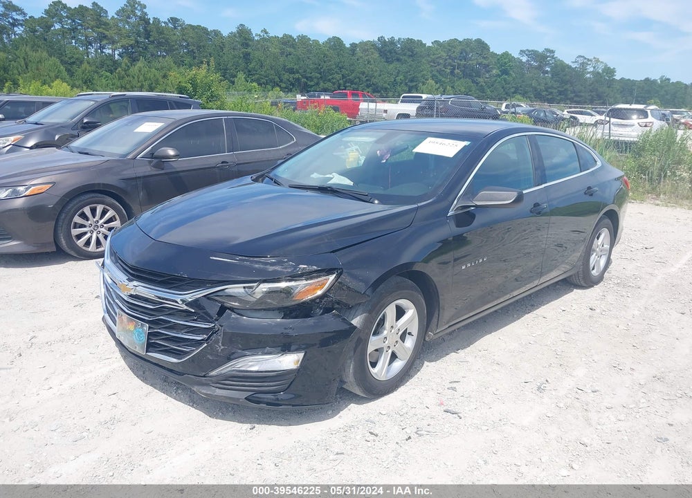 2019 CHEVROLET MALIBU 1LS VIN: 1G1ZB5ST3KF220313