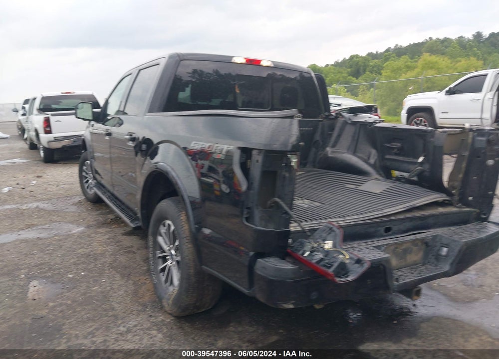 2019 FORD F-150 XLT VIN: 1FTEW1EP3KFC55256
