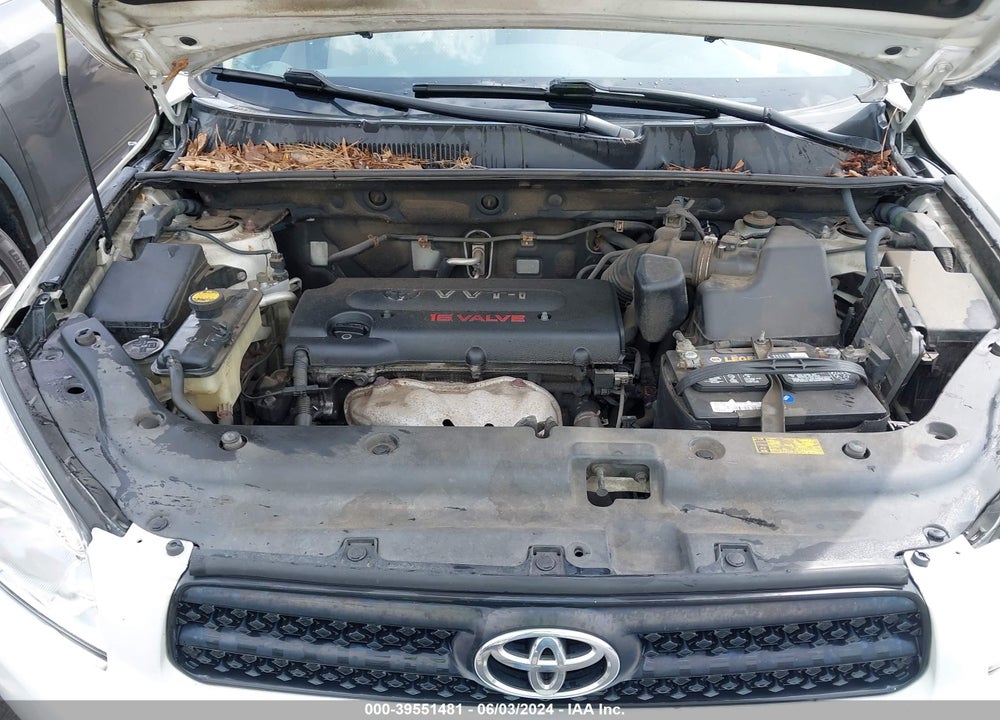 2006 TOYOTA RAV4 VIN: JTMZD33V565031843