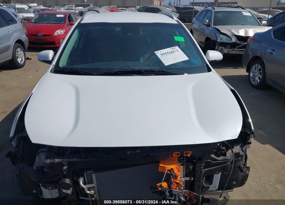 2022 KIA NIRO EV EX VIN: KNDCC3LG4N5142019