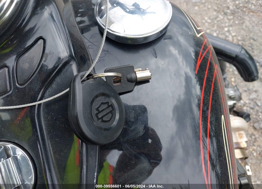 2008 HARLEY-DAVIDSON FLSTSB VIN: 1HD1JM5438Y065988