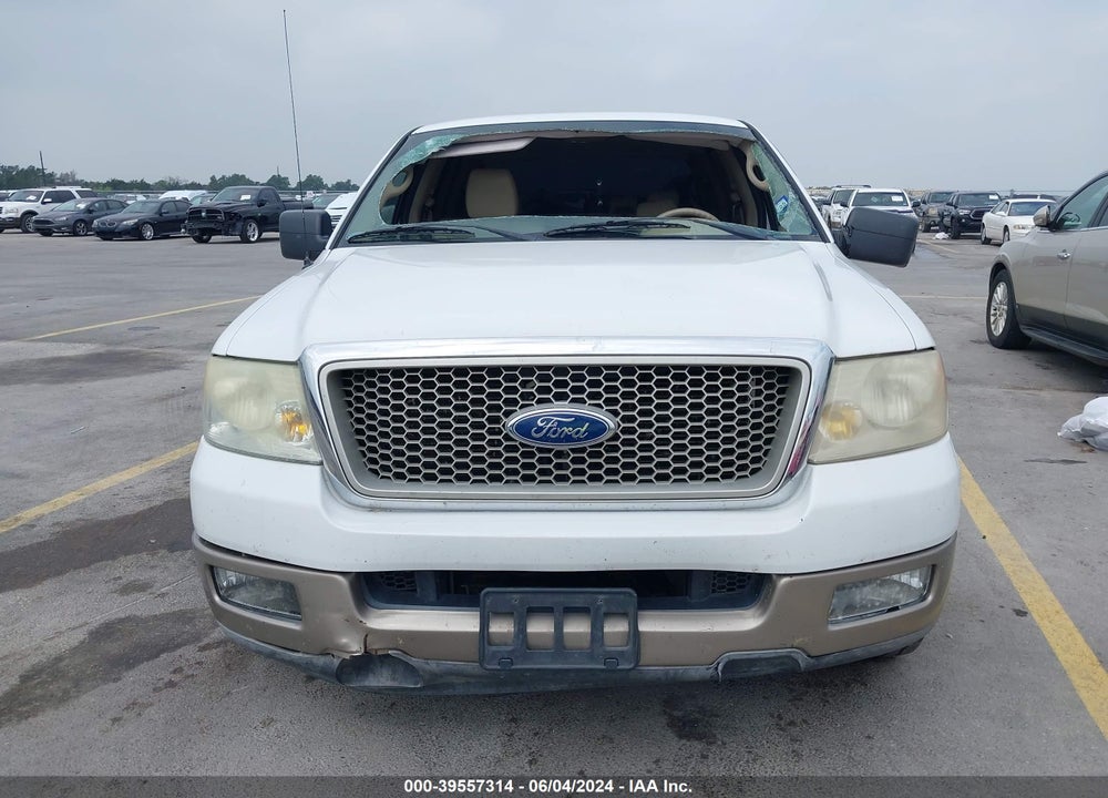 2004 FORD F-150 VIN: 1FTPW12544KD65139