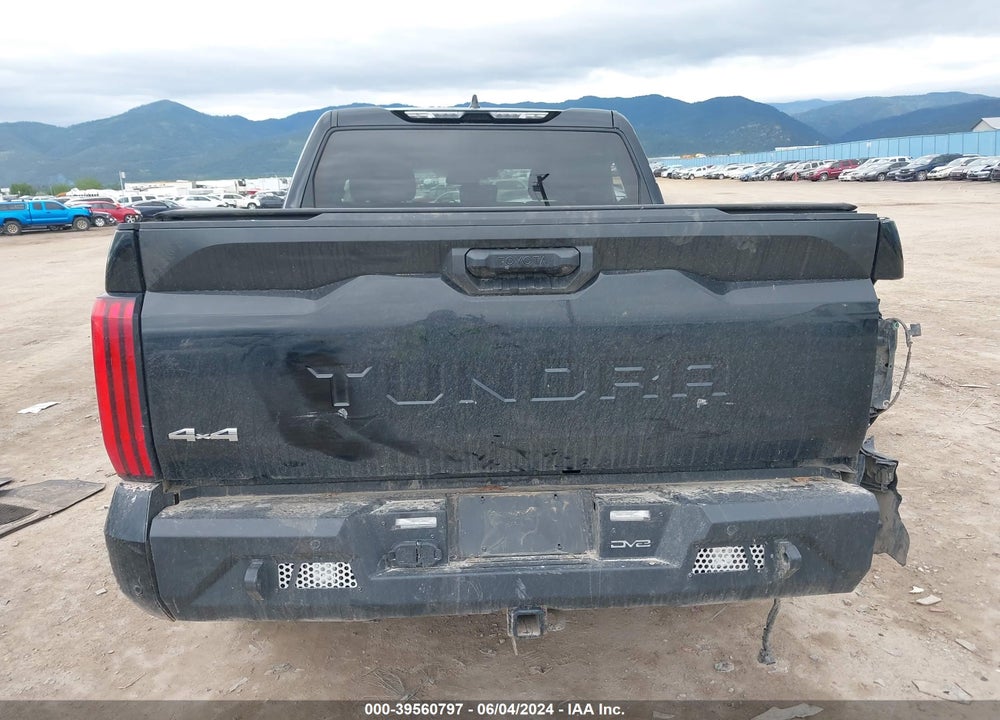 2023 TOYOTA TUNDRA VIN: 5TFLA5DB6PX094373
