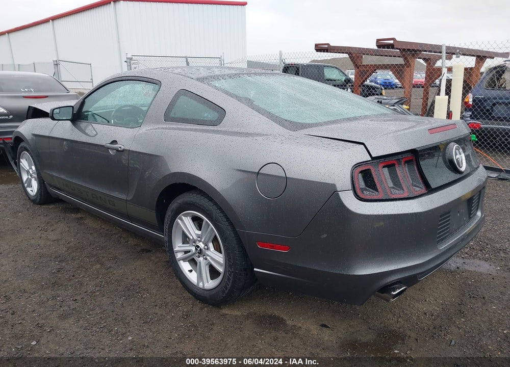 2013 FORD MUSTANG V6 VIN: 1ZVBP8AM9D5255613