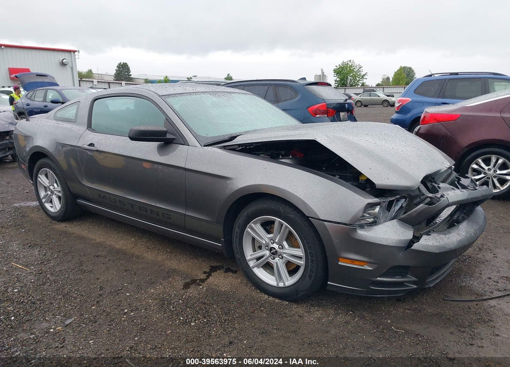 2013 FORD MUSTANG V6 VIN: 1ZVBP8AM9D5255613