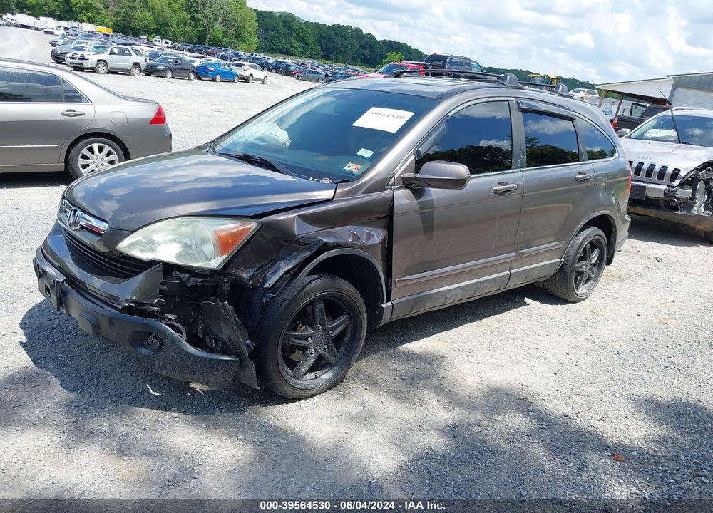 2009 HONDA CR-V EX-L VIN: 5J6RE48789L064455